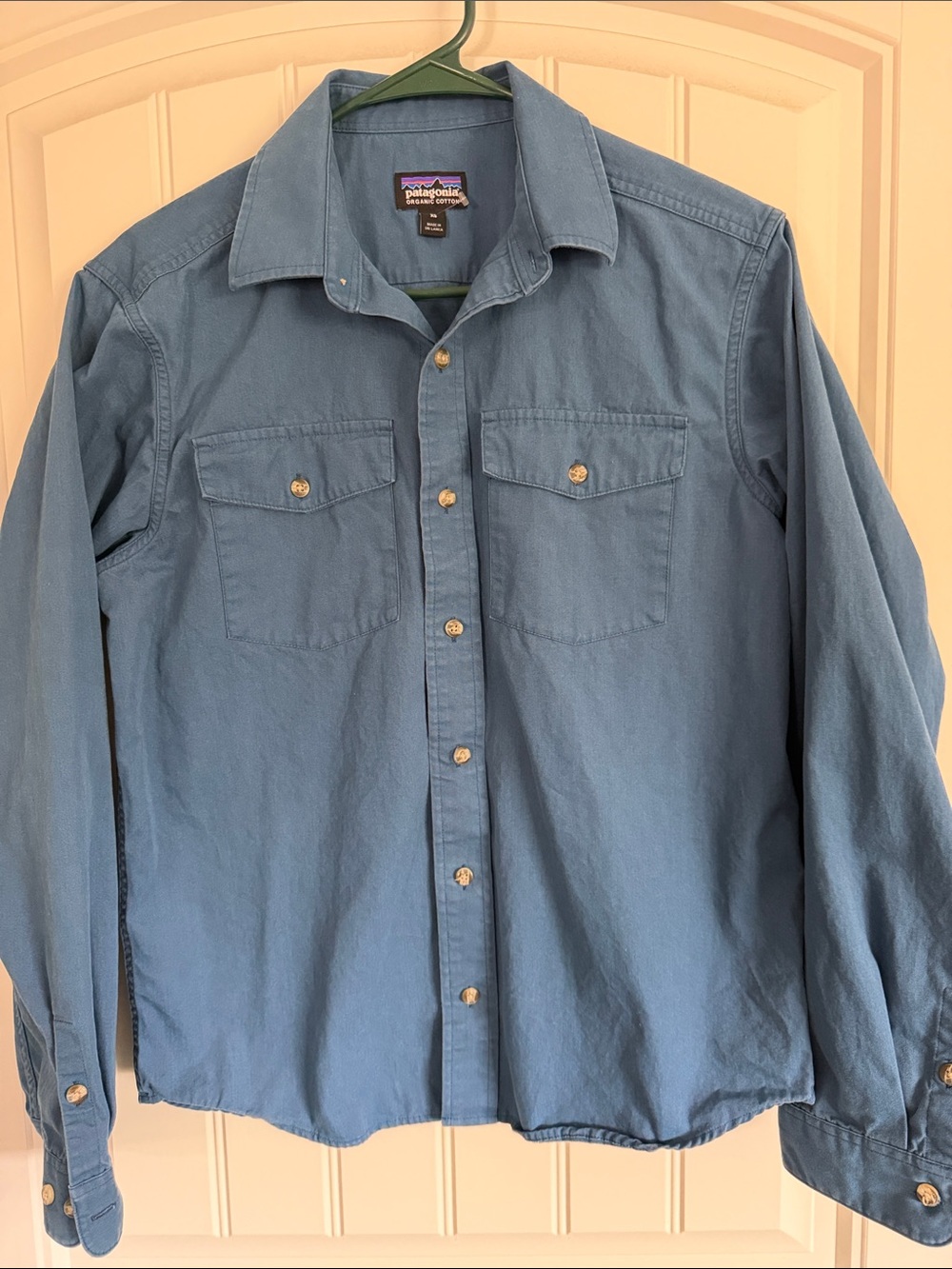Patagonia Blue Men's Long-Sleeve Button-Up Shirt